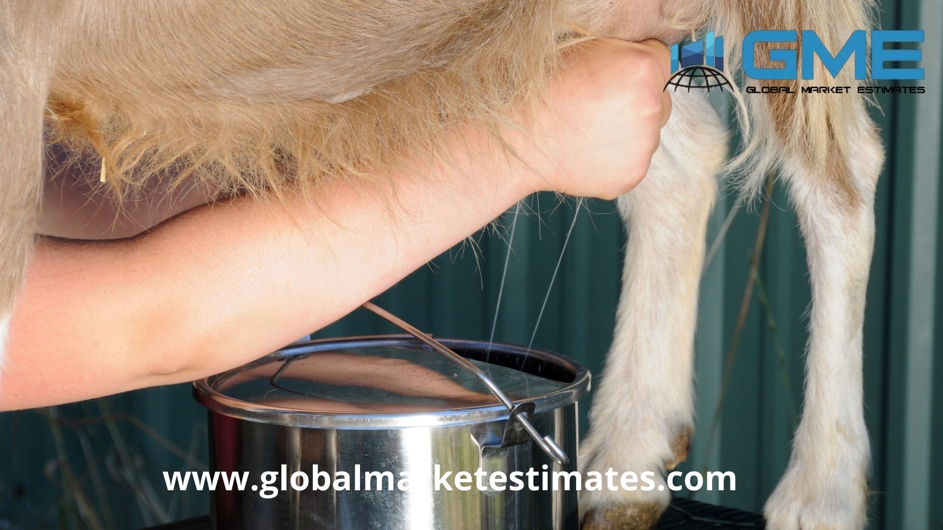 Global Goat Milk Derivatives Market Report